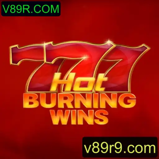 Explorando o Fascinante Mundo de HotBurningWins