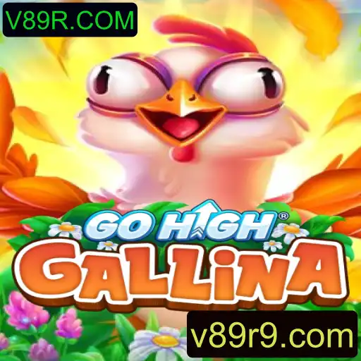 Desvendando o Fascinante Mundo de GoHighGallina